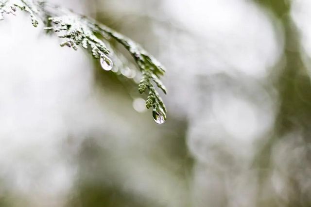 空氣濕度大帶來的危害有哪些，你知道嗎？