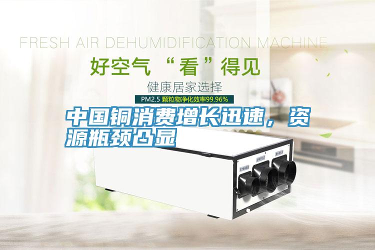 中國銅消費增長迅速，資源瓶頸凸顯