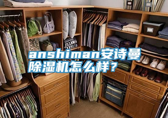 anshiman安詩曼除濕機怎么樣？