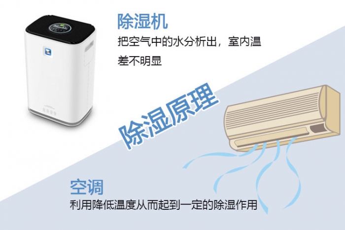 使用除濕機對于哮喘有什么幫助？