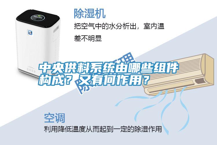 中央供料系統(tǒng)由哪些組件構成？又有何作用？