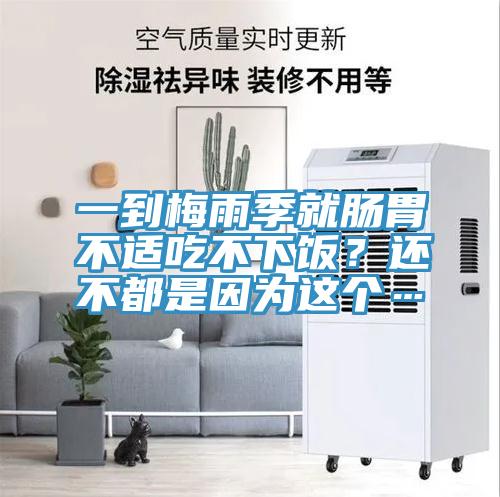 一到梅雨季就腸胃不適吃不下飯？還不都是因為這個…