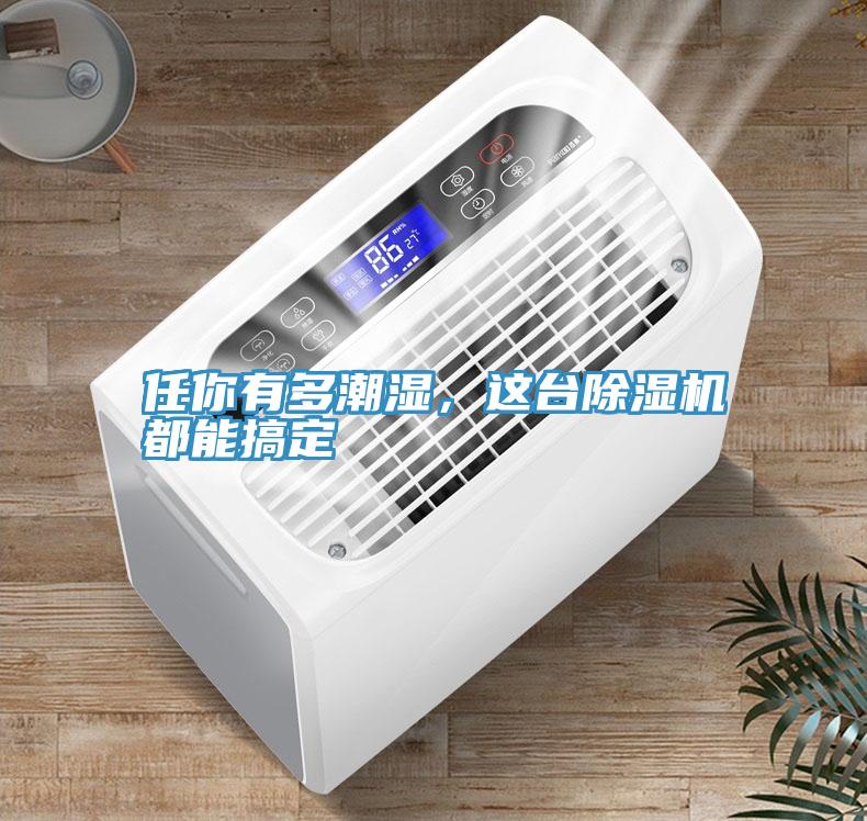 任你有多潮濕，這臺除濕機都能搞定
