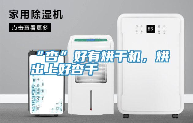 “杏”好有烘干機(jī)，烘出上好杏干