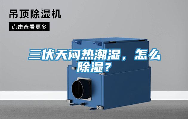 三伏天悶熱潮濕，怎么除濕？