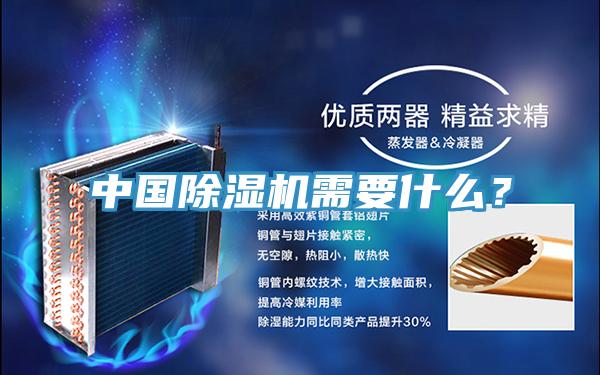 中國除濕機需要什么？