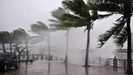 8月臺(tái)風(fēng)雨即將來，除濕機(jī)還得用起來