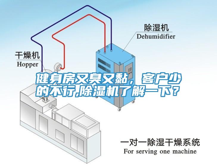 健身房又臭又黏，客戶少的不行,除濕機(jī)了解一下？