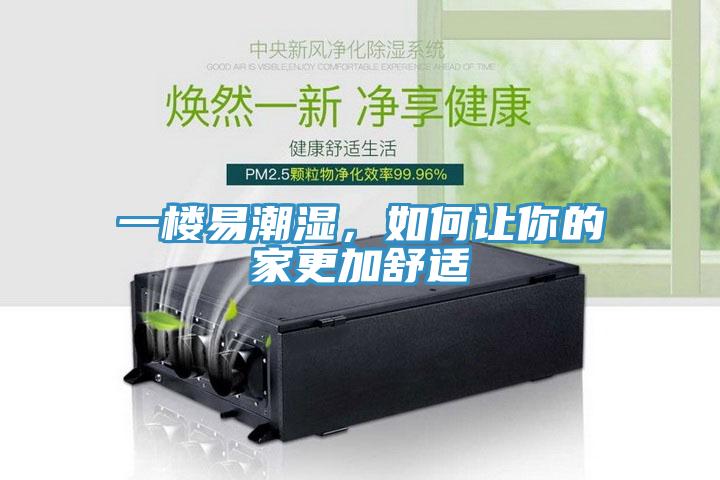 一樓易潮濕，如何讓你的家更加舒適