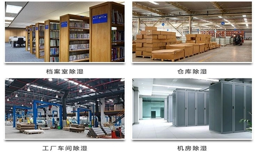 為什么竹筍烘干房需要除濕機？