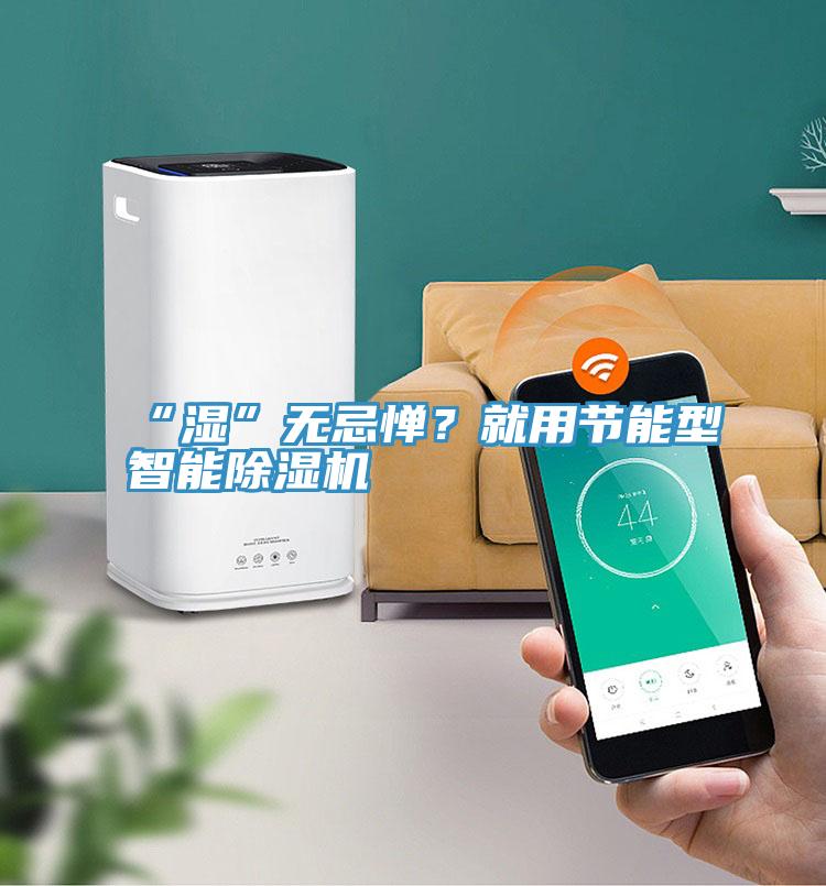 “濕”無忌憚？就用節(jié)能型智能除濕機(jī)