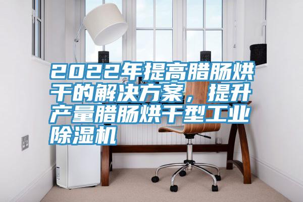 2022年提高臘腸烘干的解決方案，提升產(chǎn)量臘腸烘干型工業(yè)除濕機(jī)