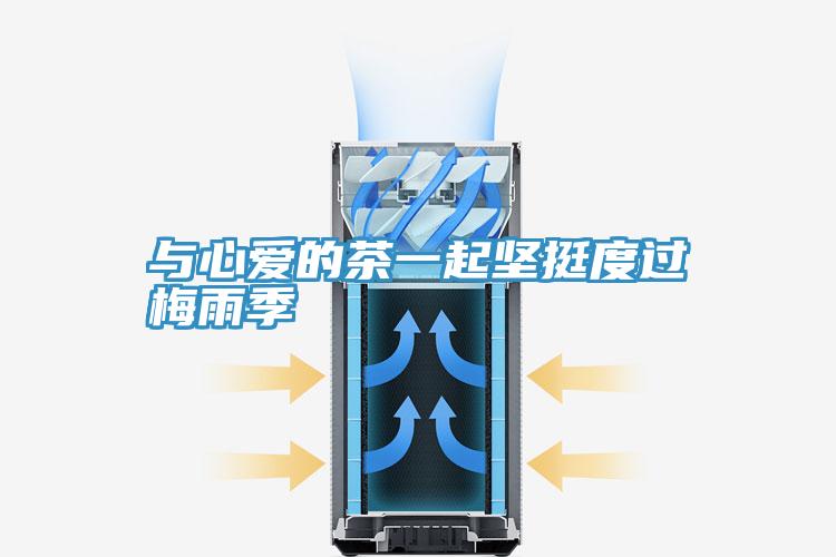 與心愛的茶一起堅(jiān)挺度過(guò)梅雨季