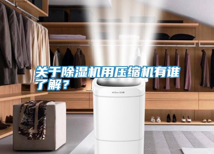 關(guān)于除濕機(jī)用壓縮機(jī)有誰(shuí)了解？