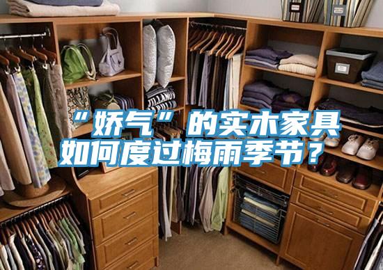“嬌氣”的實(shí)木家具如何度過梅雨季節(jié)？
