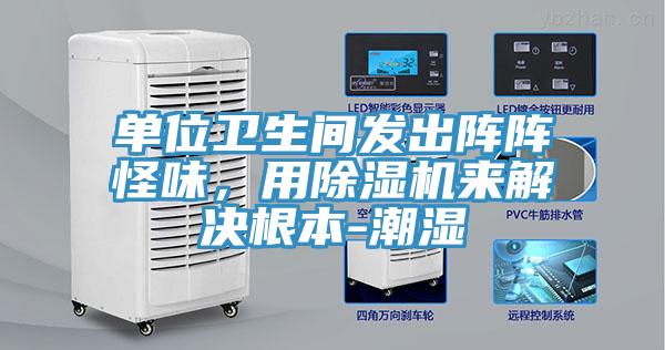 單位衛(wèi)生間發(fā)出陣陣怪味，用除濕機(jī)來解決根本-潮濕