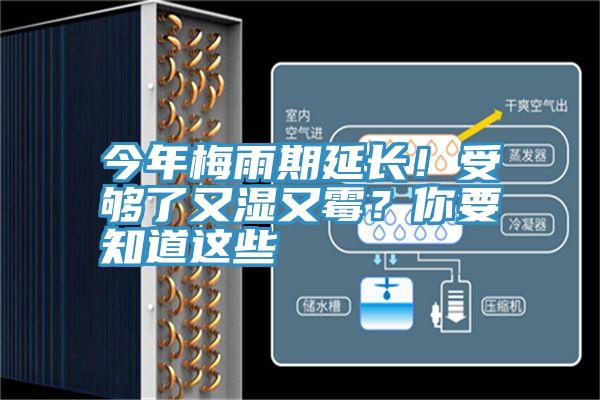今年梅雨期延長！受夠了又濕又霉？你要知道這些