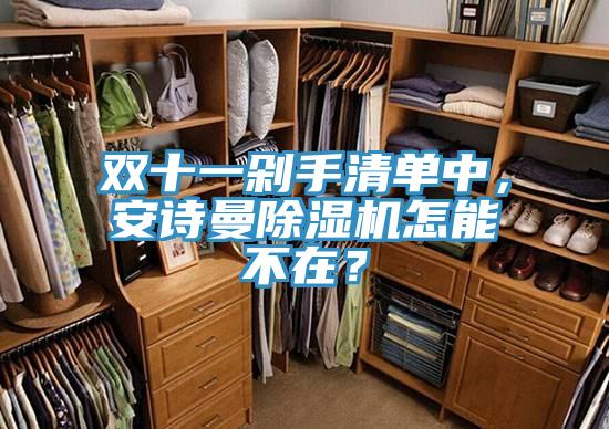 雙十一剁手清單中，安詩曼除濕機怎能不在？