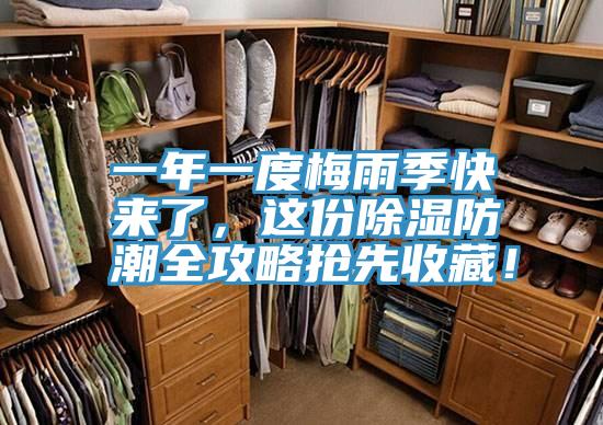 一年一度梅雨季快來了，這份除濕防潮全攻略搶先收藏！