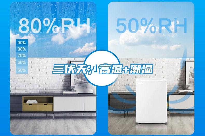 三伏天，高溫+潮濕
