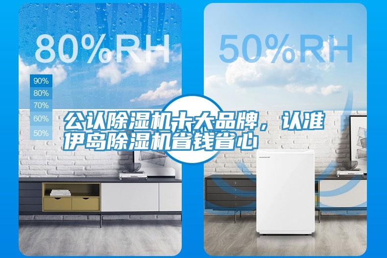 公認(rèn)除濕機(jī)十大品牌，認(rèn)準(zhǔn)伊島除濕機(jī)省錢省心