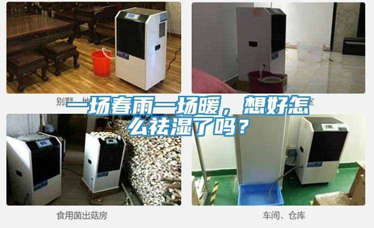 一場春雨一場暖，想好怎么祛濕了嗎？
