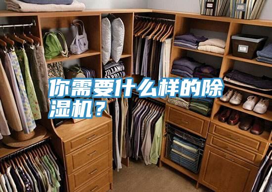 你需要什么樣的除濕機？