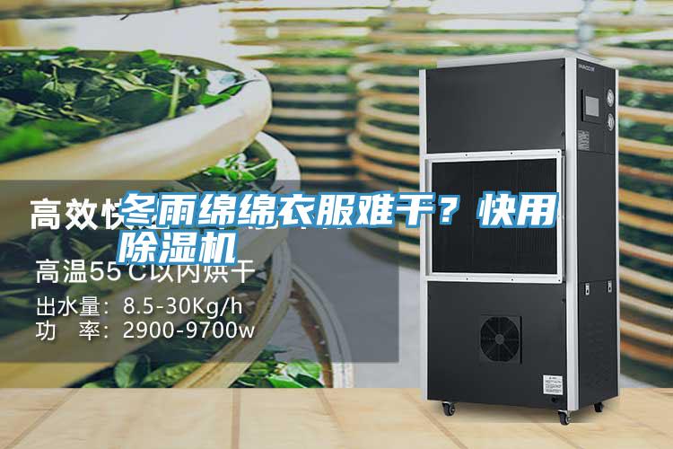 冬雨綿綿衣服難干？快用除濕機