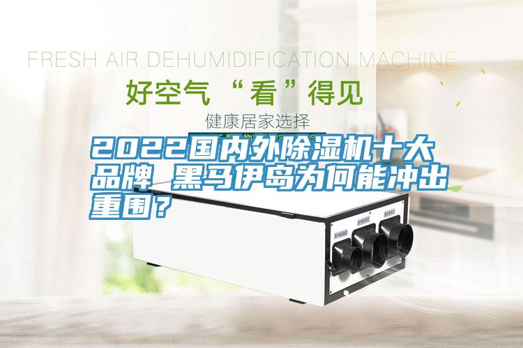 2022國內(nèi)外除濕機(jī)十大品牌 黑馬伊島為何能沖出重圍？