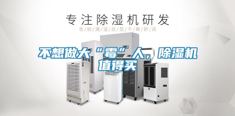 不想做大“霉”人，除濕機值得買