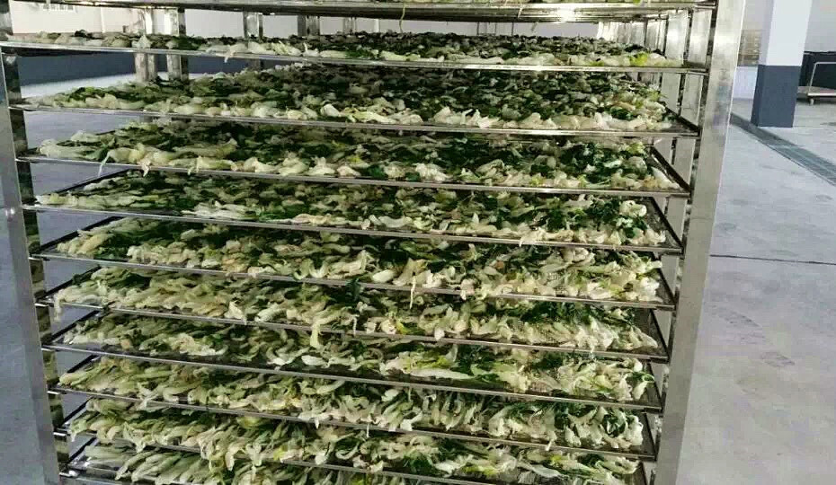 菜干需求一直都很大，蔬菜烘干機(jī)很有市場(chǎng)