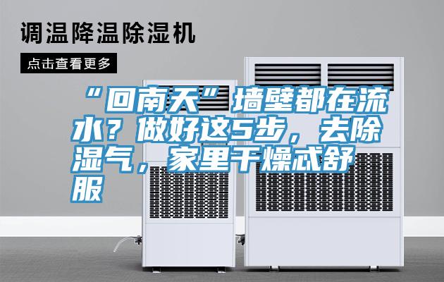 “回南天”墻壁都在流水？做好這5步，去除濕氣，家里干燥忒舒服