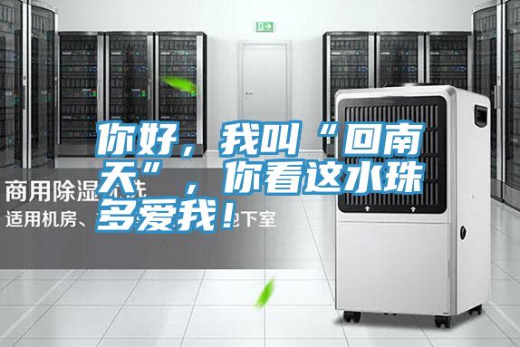 你好，我叫“回南天”，你看這水珠多愛我！