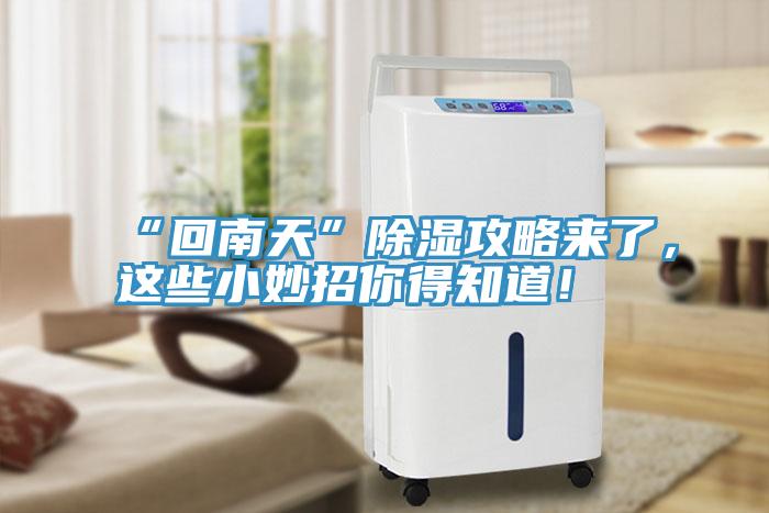 “回南天”除濕攻略來了，這些小妙招你得知道！