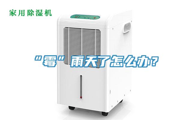 “霉”雨天了怎么辦？