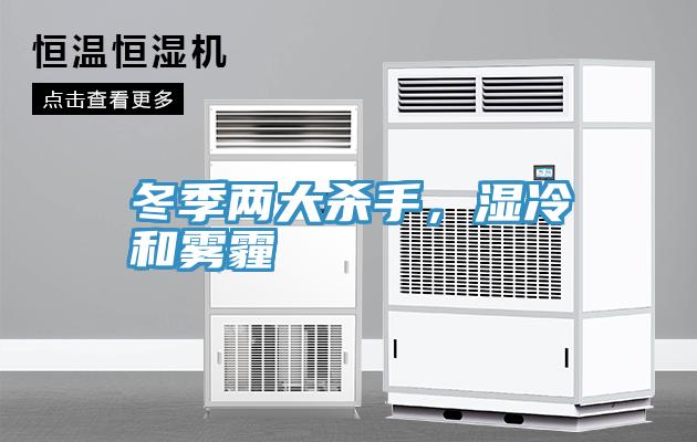 冬季兩大殺手，濕冷和霧霾