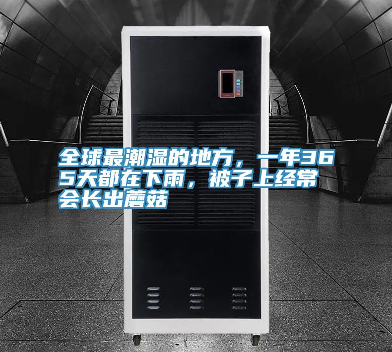全球最潮濕的地方，一年365天都在下雨，被子上經(jīng)常會長出蘑菇