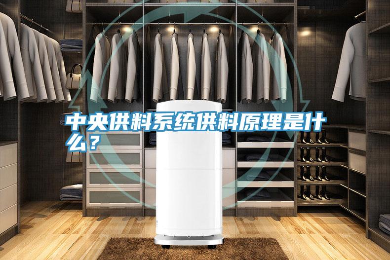 中央供料系統(tǒng)供料原理是什么？