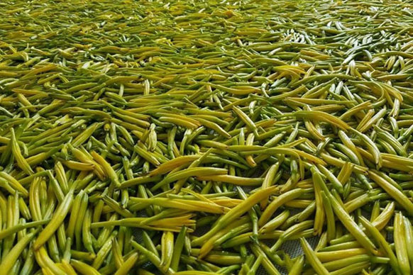 無(wú)硫金針菜烘干如何保持品相？不發(fā)黑？_除濕機(jī)廠家