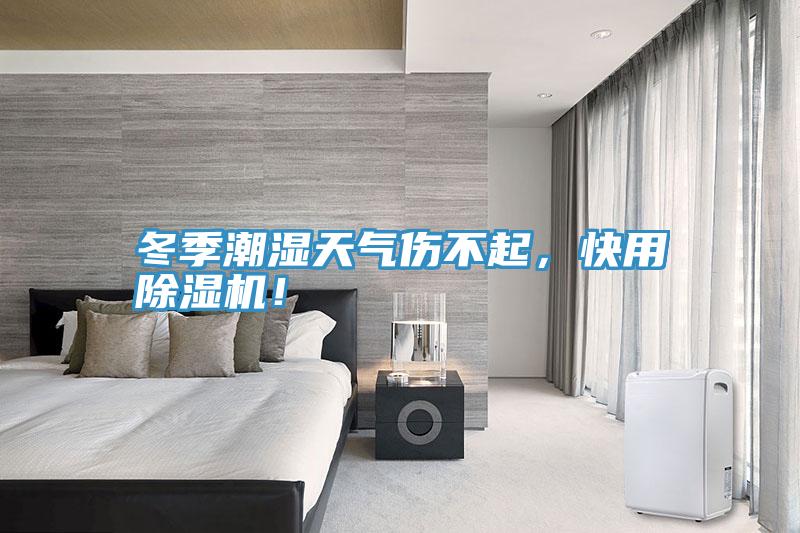 冬季潮濕天氣傷不起，快用除濕機(jī)！