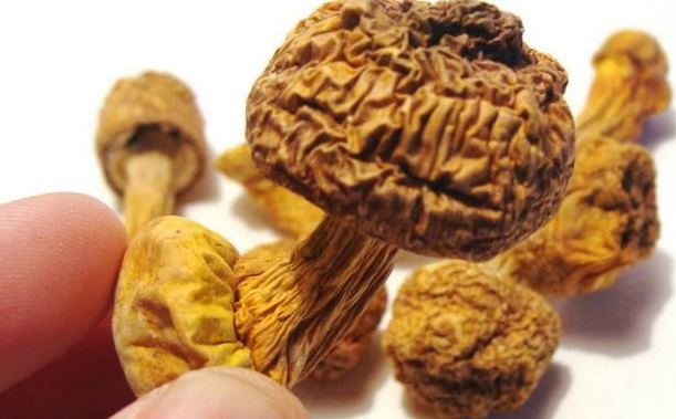 巴西菇、姬松茸烘干機(jī)-怎樣烘干色澤好且菇體褶片完整？