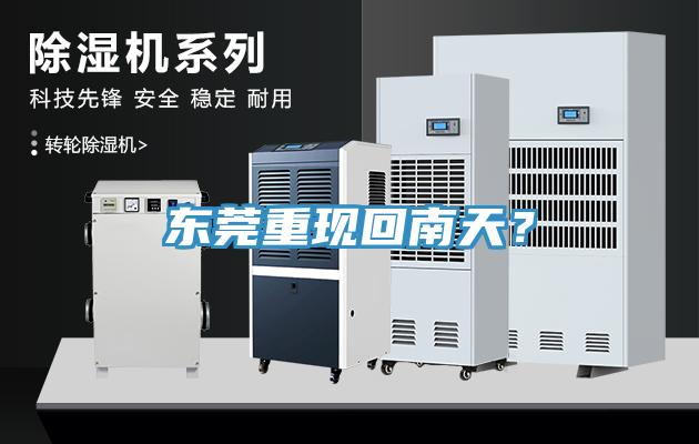 東莞重現(xiàn)回南天？