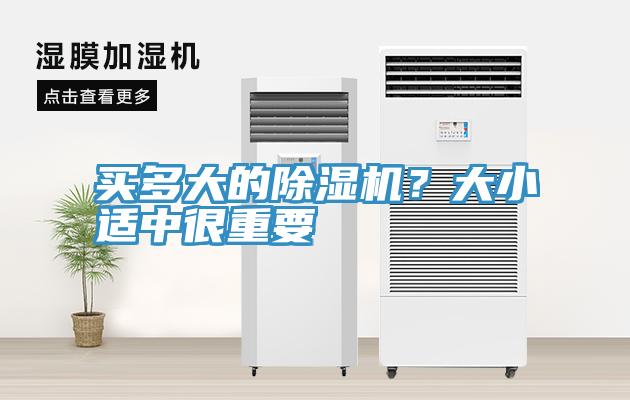 買多大的除濕機？大小適中很重要