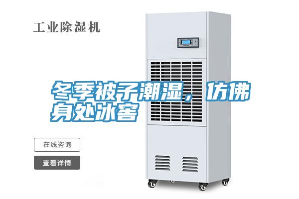 冬季被子潮濕，仿佛身處冰窖