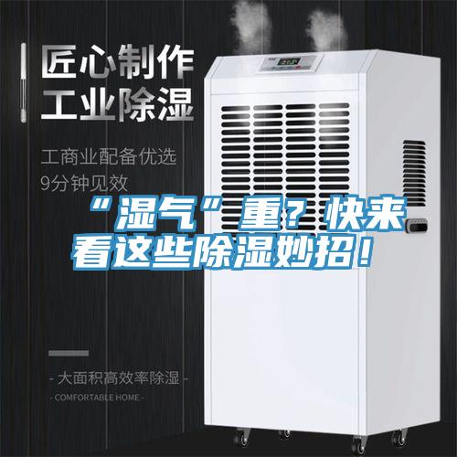 “濕氣”重？快來看這些除濕妙招！