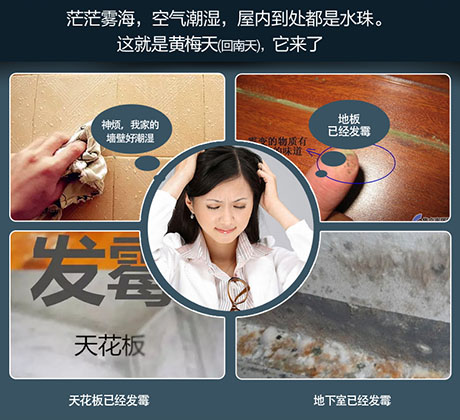 家庭別墅的地下室、衛(wèi)生間、儲物室等該如何除濕？