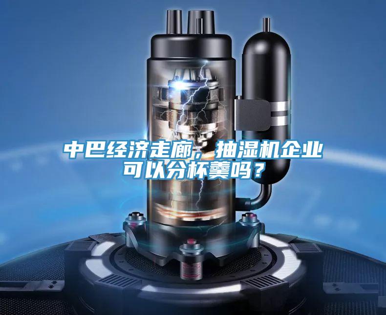 中巴經(jīng)濟(jì)走廊，抽濕機企業(yè)可以分杯羹嗎？