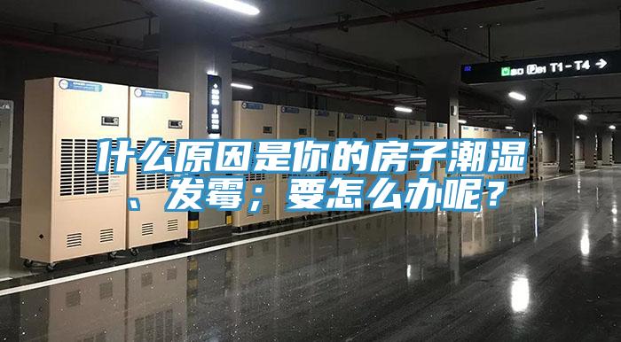 什么原因是你的房子潮濕、發(fā)霉；要怎么辦呢？