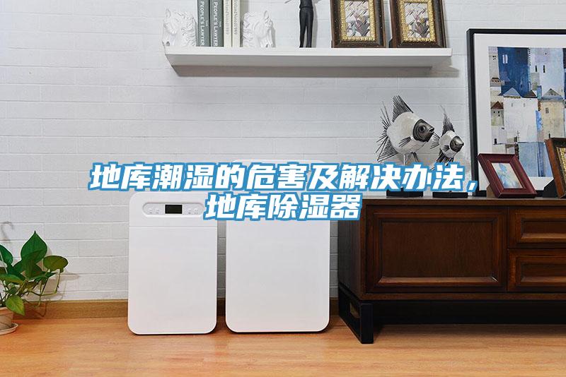 地庫(kù)潮濕的危害及解決辦法，地庫(kù)除濕器