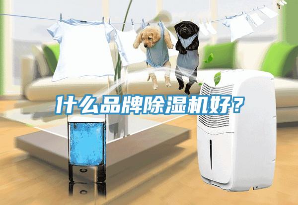 什么品牌除濕機(jī)好？